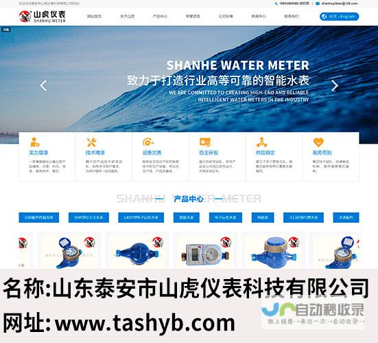 泰安网站建设：助力企业在线发展，打造专属数字名片